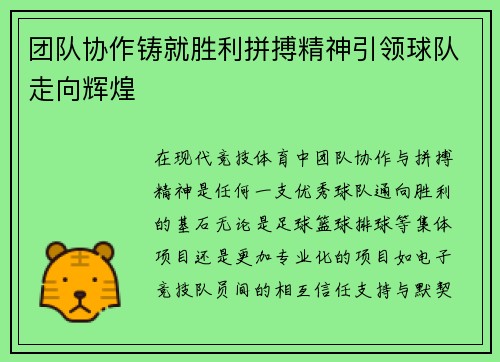 团队协作铸就胜利拼搏精神引领球队走向辉煌