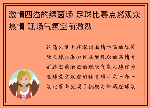 激情四溢的绿茵场 足球比赛点燃观众热情 现场气氛空前激烈