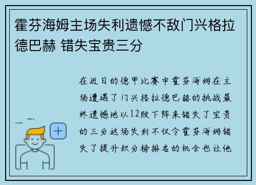 霍芬海姆主场失利遗憾不敌门兴格拉德巴赫 错失宝贵三分